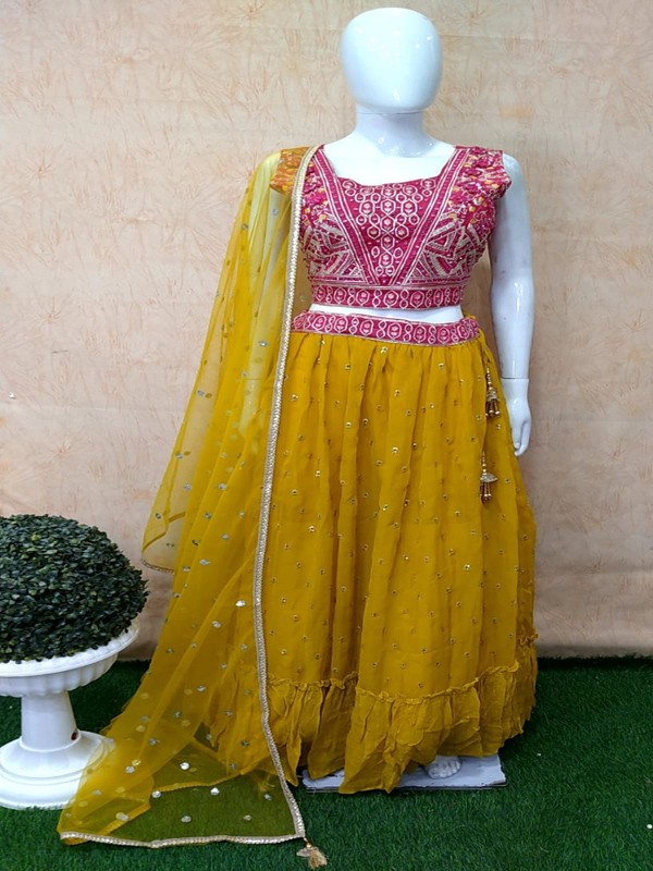 Skirt Choli with Machine Embroidery