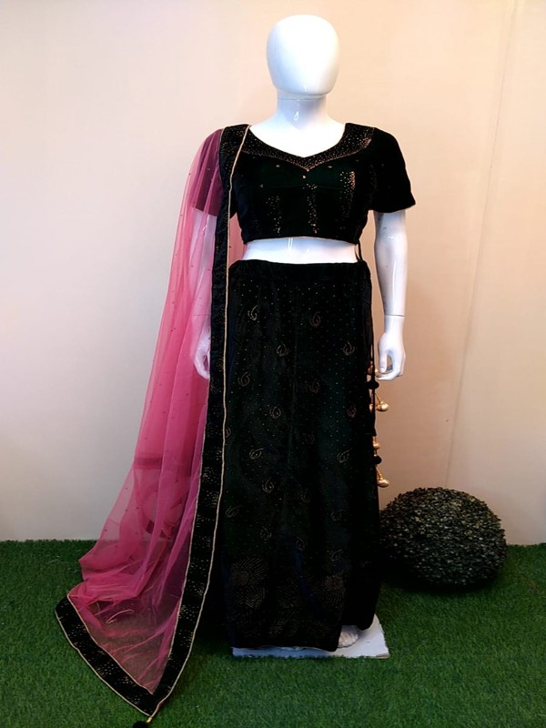 Lehanga Choli with Hand Embroidery