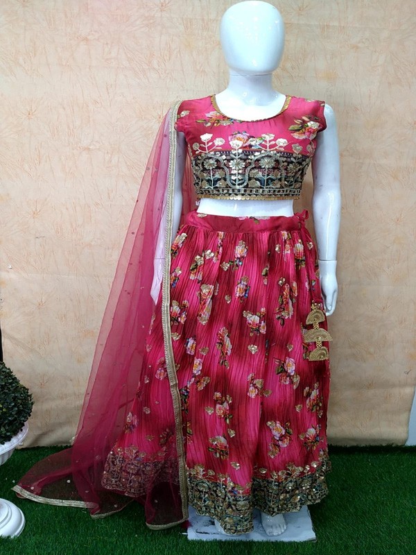 Skirt Choli with Machine Embroidery