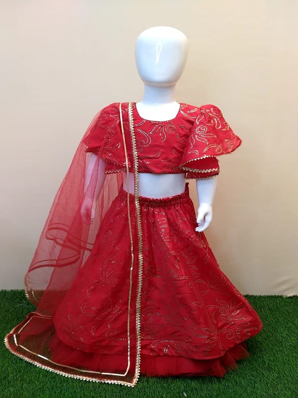 Skirt with Choli